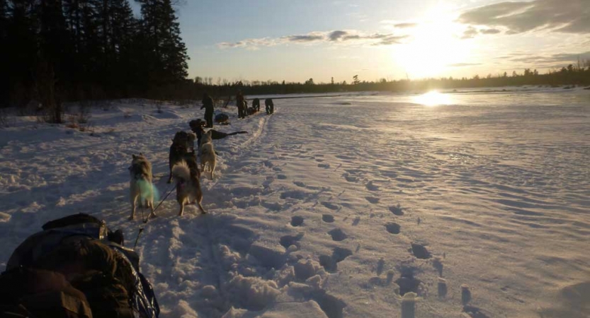 from the view point of the back of a sled, a team of dogs stretches out in front, while the sun sets over a snowy landscape 